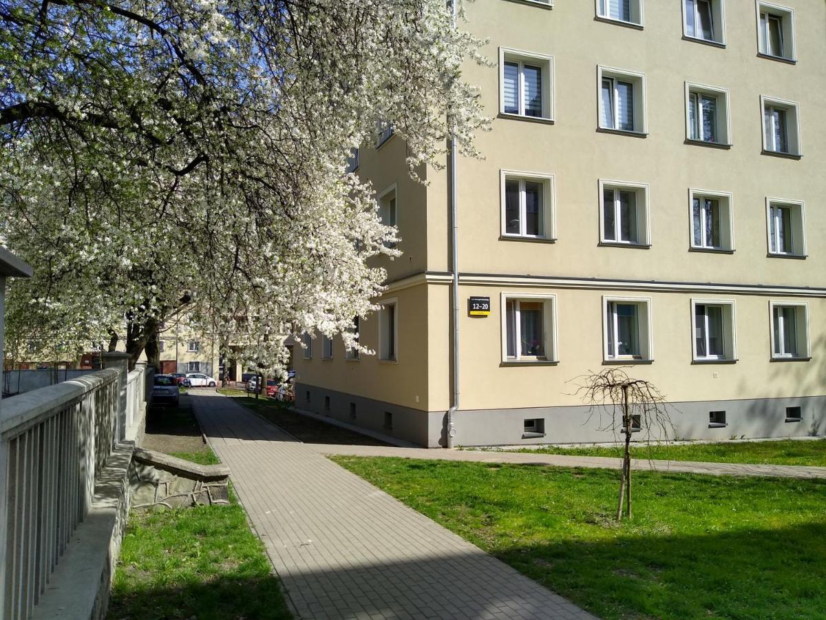 Apartment Bluebird Katowice Near Spodek Mck & City Center Ngoại thất bức ảnh